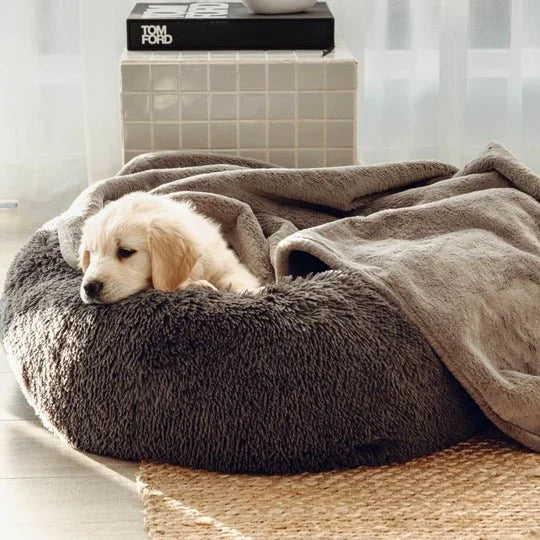 Double Weighted Luxury Blanket